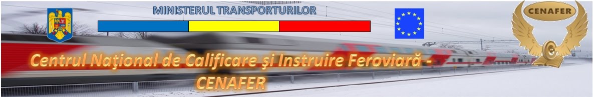 Logo CENAFER
